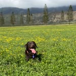 Derek Remillard - @originaldirk72 - Instagram