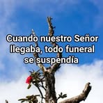 Derek Rendón Mercurio - Facebook