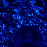 Derek Rich - @dewreckritchh - Instagram