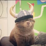 Derek Rick - @syntheticsoilder - Instagram