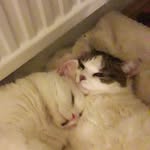 Derek Ricketts - @derekjricketts - Instagram