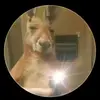 derek gg - @derek_riversgg - TikTok