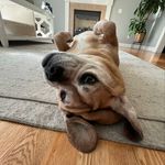 derek rivers - @derek_riv321 - Instagram