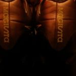 Derek Romano - @jderek1005 - Instagram