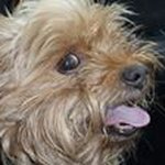 pedro aguilar - @derekromanowski - Instagram