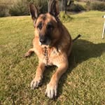 Derek George Roper - @derek150159 - Instagram