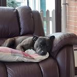 Derek Roworth - @roworthderek - Instagram