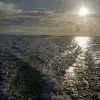 Derek Royer - @derek.royer1 - TikTok