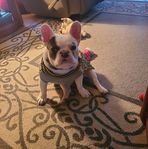 Derick Rudy - Facebook