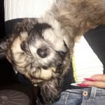 Ruperto Derek - @rupertoderek - Instagram