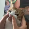 StopWigglingUrToes - @derekscasket - TikTok