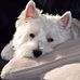 Derek Sadler - Facebook