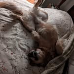Derek Blanche - @derek.the.old.sailor - Instagram