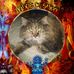 Derek Sailors - Facebook