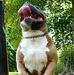 Derek Sain - Facebook