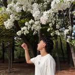 Derek Sasamoto - Facebook