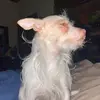 Derek Salazar - @foot_fungus316 - TikTok