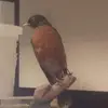 Derek Sampson - @derek.sampson - TikTok