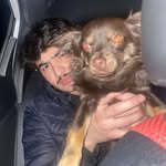 𝒟𝐸𝑅𝐸𝒦 𝒮𝒜𝒩𝒞𝐻𝐸𝒵† - @dereksanch_12 - Instagram