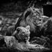 Derek Sanchez - Facebook