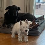 Derek Sands - @degsey79 - Instagram