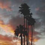 🔗Derek🔗 - @dereksansel - Instagram