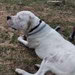 Derek Sargent - @derek.sargent.75 - Instagram