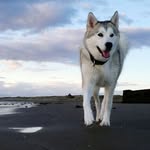 Derek Saúl Gonzalez arreguin - @dereksaul99 - Instagram