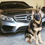 Derek Schenk - @derekaustin2277 - Instagram