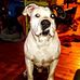 Derek Schramm - Facebook