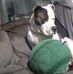 Derek Schramm - Facebook