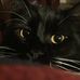 Derrick Seitz - Facebook