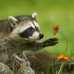 Derek severson - @derekseverson777 - Instagram