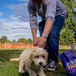 Derek Shannon - @derekshannon66 - Instagram