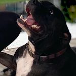 Derek J Sharpe - @dsharpe6901 - Instagram