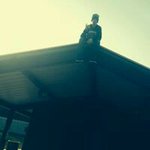 derek shea - @derekshea97 - Instagram