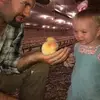 derekshealy - @derekshealy - TikTok