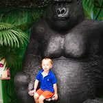 Derek Sheehy - @sheehyderek - Instagram