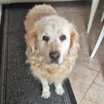 Derek Shelly - @dshel46 - Instagram