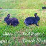Derek Shephard & Vampira - @vampiraedereksherphard - Instagram