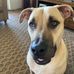 Derek Sheppard - Facebook