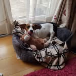 Derek Shores - @derekshores53 - Instagram
