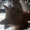 Derek Singleton870 - @dereksingleton870 - TikTok
