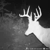 Derek Slone - @derekslone86 - TikTok