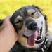 Derek Smith - Facebook