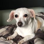 Derek Snyder - @ironiccookie10 - Instagram