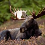 Derek Sorenson - @derek.sorenson.98 - Instagram