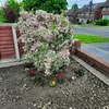 Derek Stanton - @derek.stanton05 - TikTok