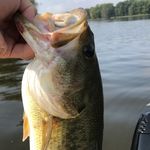 Derek Steffen - @derek_steffen_fishing - Instagram