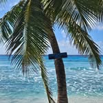 Derek Stephenson - @the_derekstephenson - Instagram